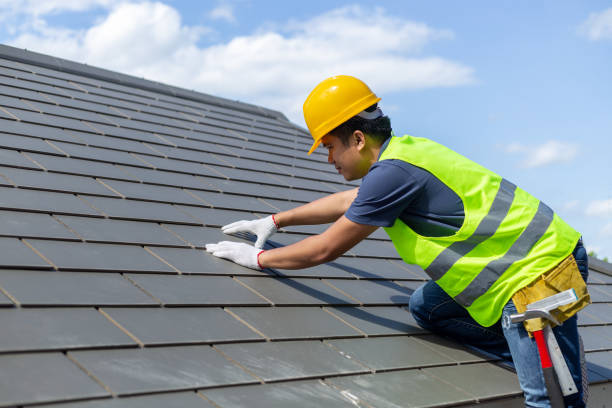 Best Roof Gutter Cleaning  in Berryville, VA