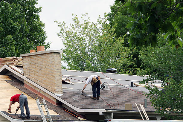 Best Storm Damage Roof Repair  in Berryville, VA