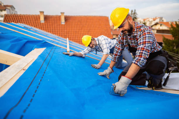 Best Emergency Roof Repair  in Berryville, VA