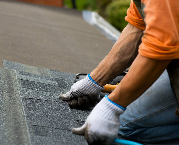 Roof Gutter Cleaning in Berryville, VA